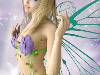 fe6dd4333e0d80c725f073c58f96436546cdc176