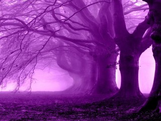 landscape_violeta__by_tatiana931220-d753jc0