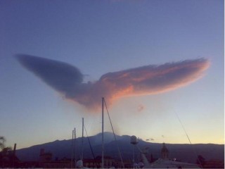 the eagle