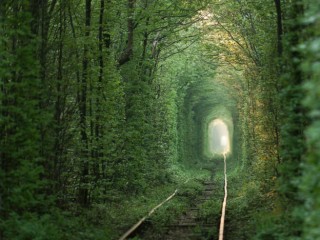 tunnel dell'amore