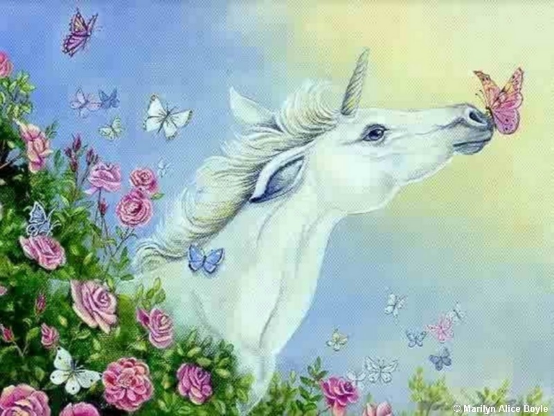 unicorn-and-butterfly-kiss-butterflies-26941051-800-600