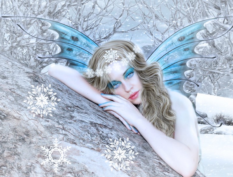 winter_fairy_by_ditney-d5o47qe