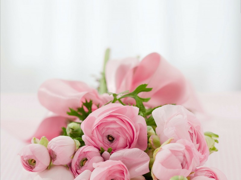 roses-142876_1920