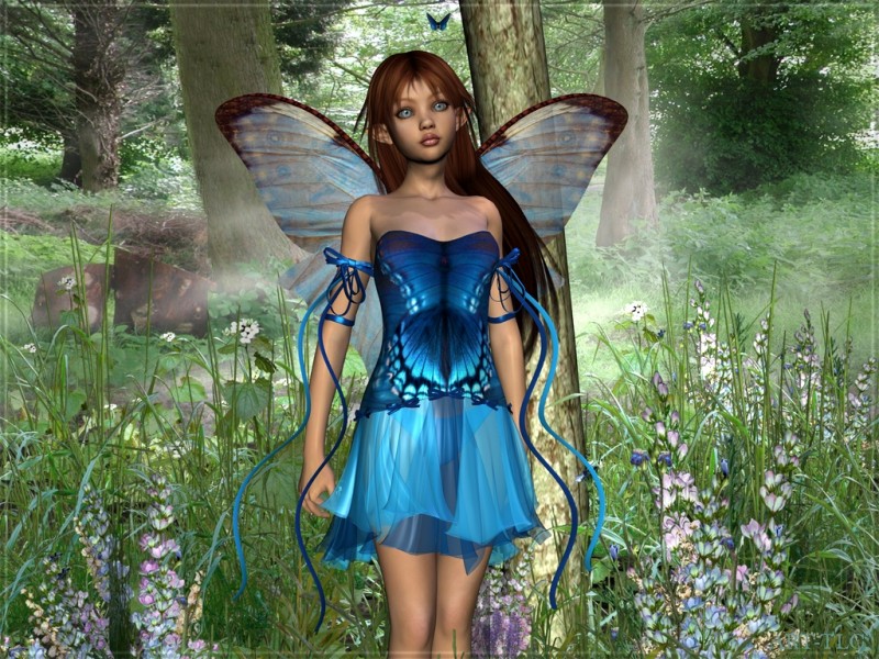 fairy30