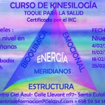 kinesio2017