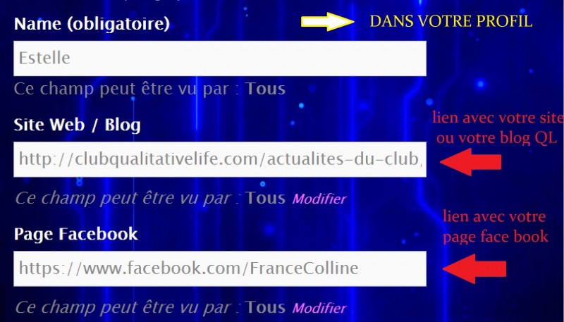 liens-fb-et-site-ou-blog