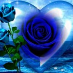 la-rose-bleue-2