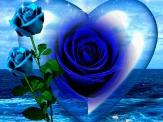 la rose bleue