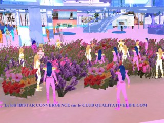 loft ibistar convergence 01