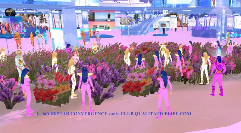 loft-ibistar-convergence-01