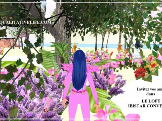 loft ibistar convergence 11