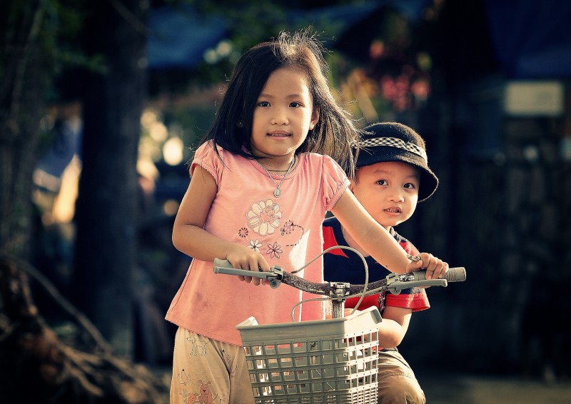 adorable-adult-basket-206443