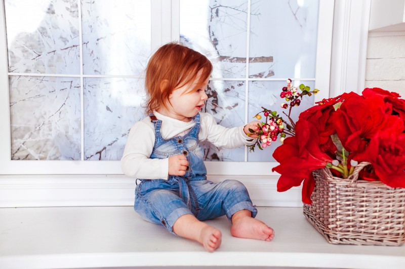 adorable-baby-basket-207762
