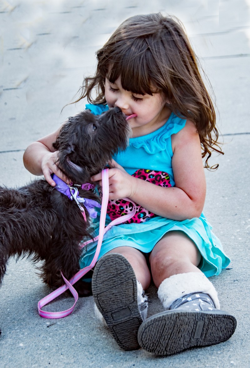 adorable-baby-beautiful-1364756