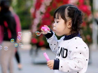 adorable-blowing-blurred-background-712141