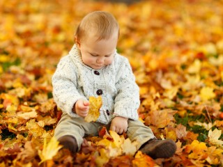 autumn-child-cute-40893