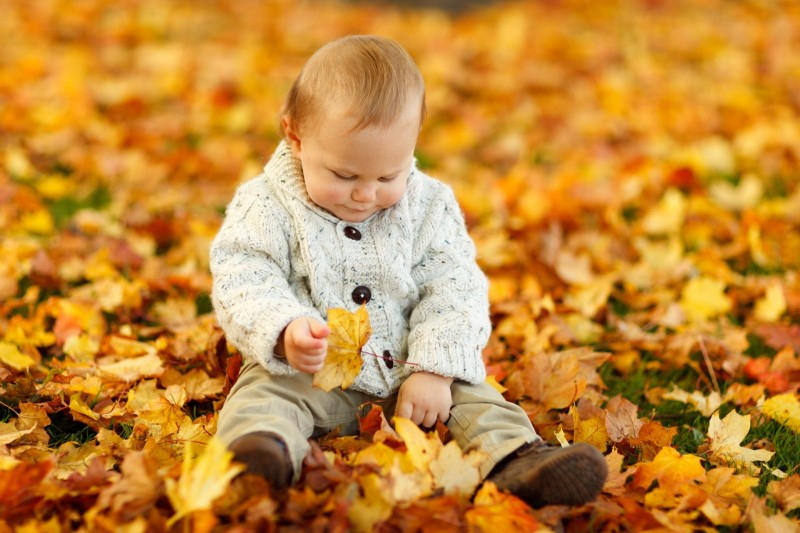 autumn-child-cute-40893