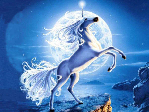 licorne-2