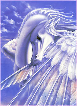 licorne-02