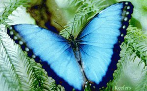 284363_110539552377872_3403259_n