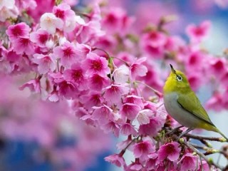 10171266_761848947185770_90389201296590311_n