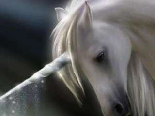 487973_307823556007421_1001275397_n