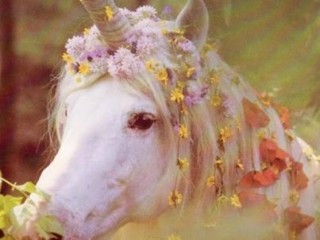 10262149_10202454793789396_6478166653058704656_n