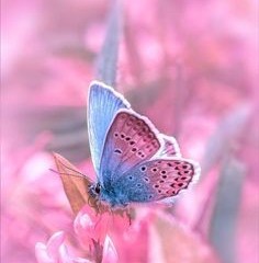 9ab47672beefcf942a98128d7c1bfd94