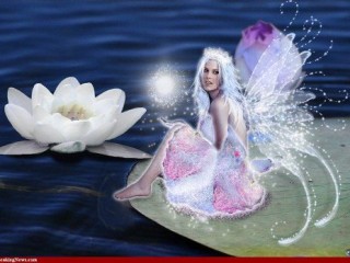fairy-water