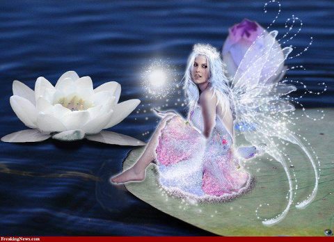 fairy-water-2