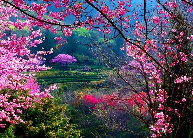 primavera-2
