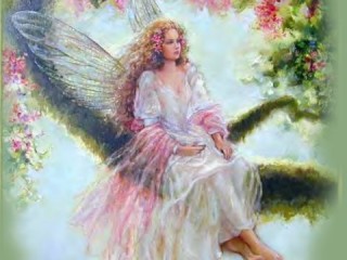 fairy-belle