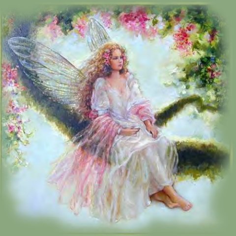 fairy-belle-2