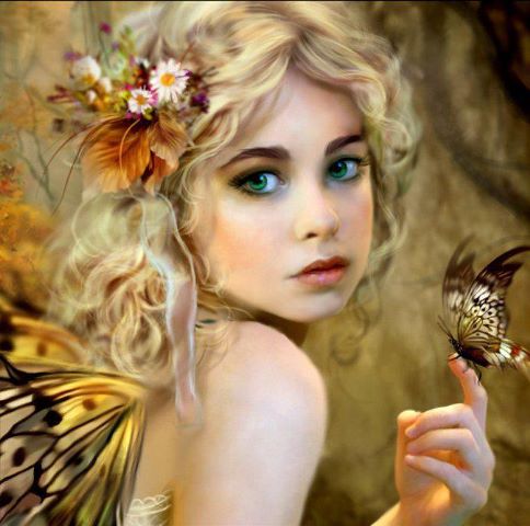 fairy-butterfly
