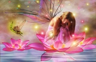 fairy-flowers