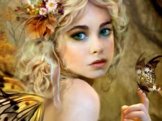 fairy-butterfly