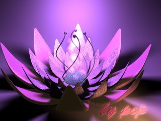Fleur mauve oi (2)