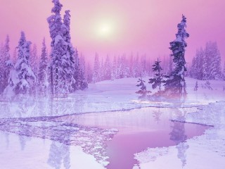 winter5