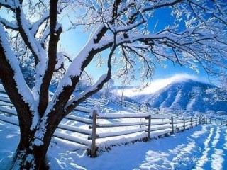 winter3