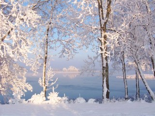 winter1