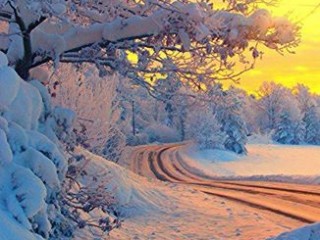 winter
