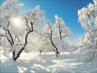 winter4