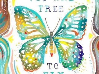 you are free to fly