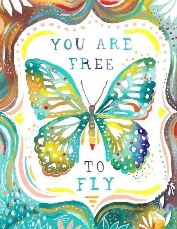 you-are-free-to-fly