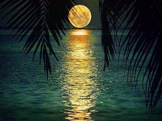 full moon on the sea