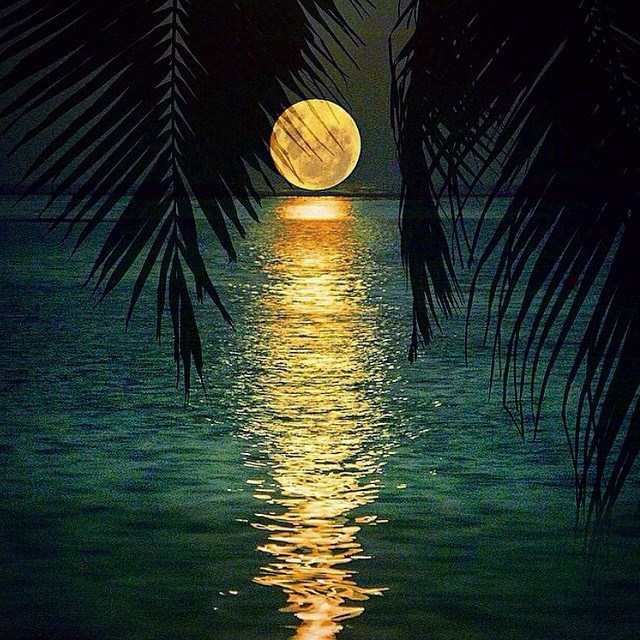 full-moon-on-the-sea