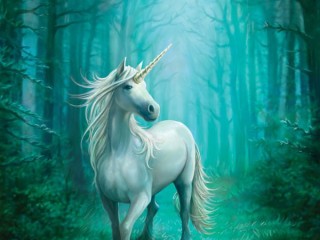 unicorn forest