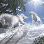 unicorns-4
