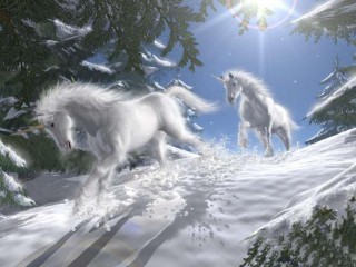 unicorns 4