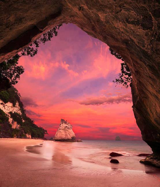 new-zealand-cathedral-cove-coromandel-peninsula